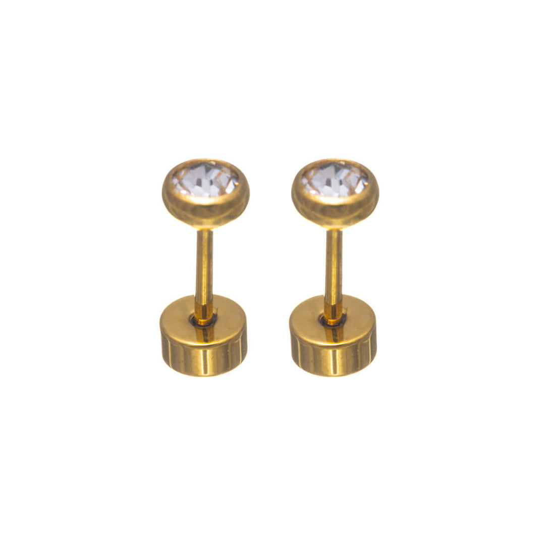 Titanium Crystal Stud Earrings 4mm – Screw Back (G23)