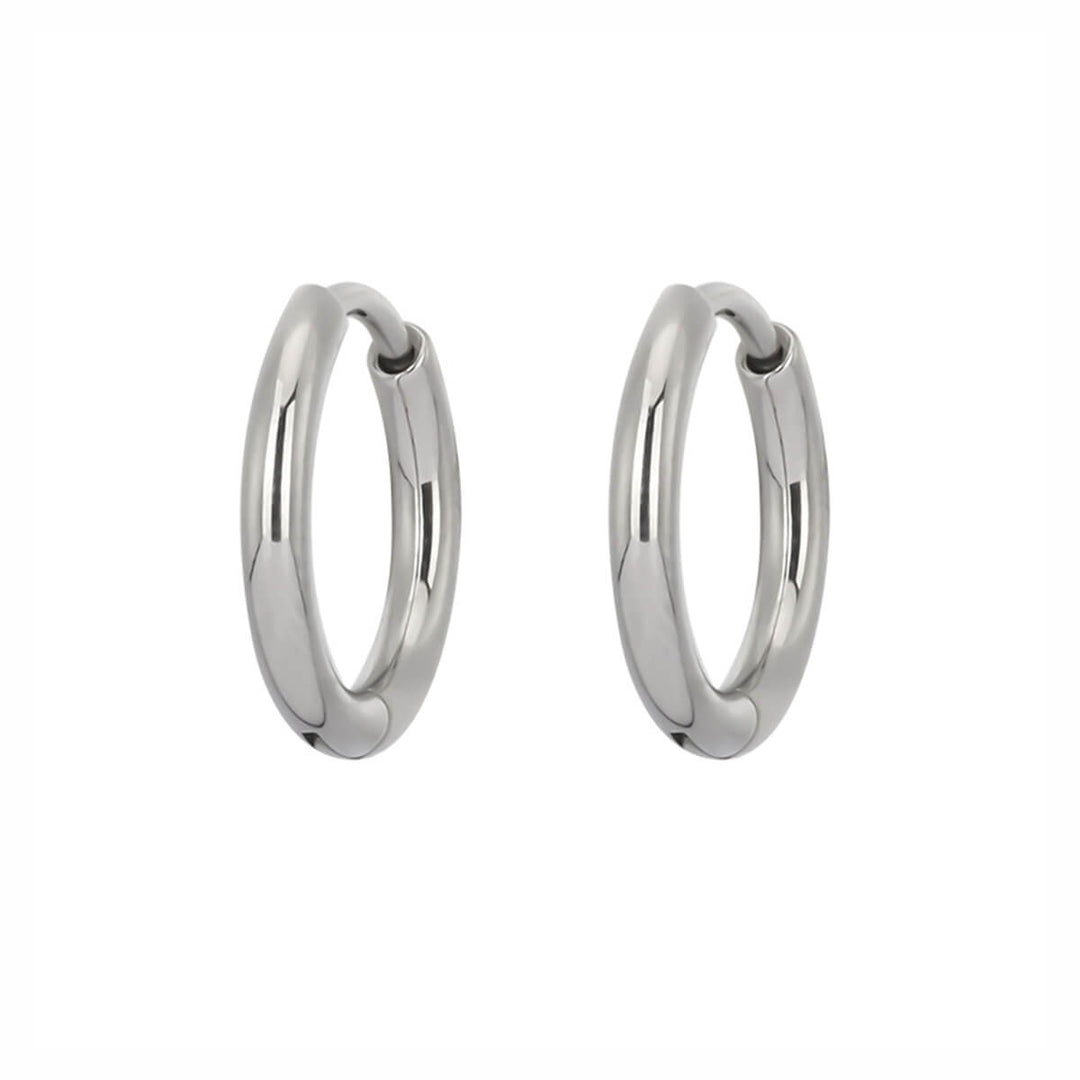 Titanium earrings 8mm (Titanium G23)