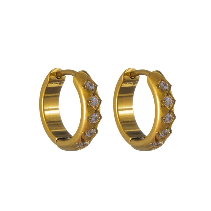 Titan-zirkoniumörhängen 10 mm – G23