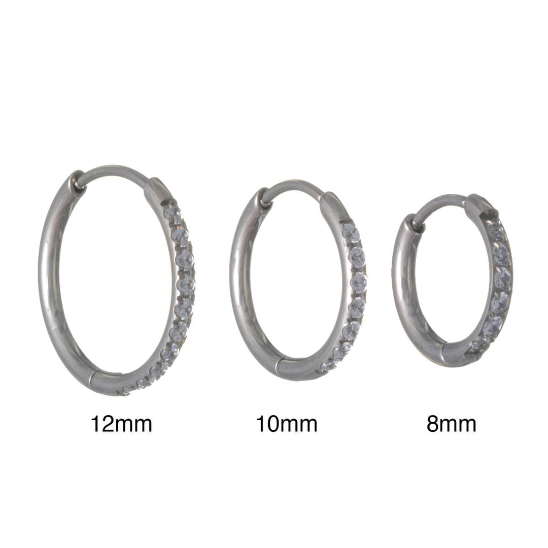 Titanium Zirconia Ear Rings – Pavé (G23)