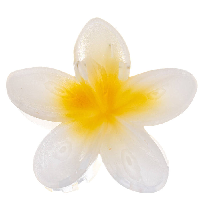 Tropisk färgglad blomma hårspänne 8cm