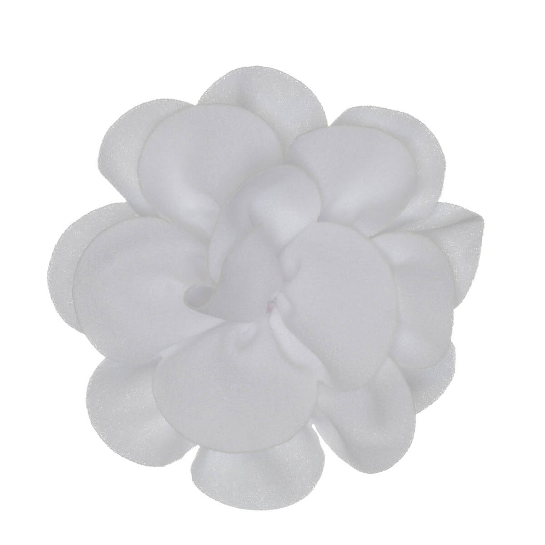 Matt hårblomma och klädblomma, 10 cm