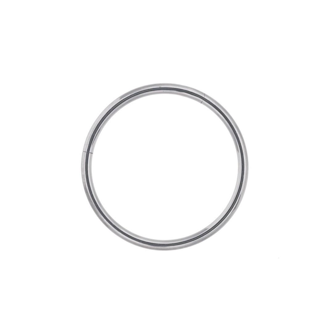 Hinged ring titanium clicker Piercing Rings 1.0mm (Titanium G23)