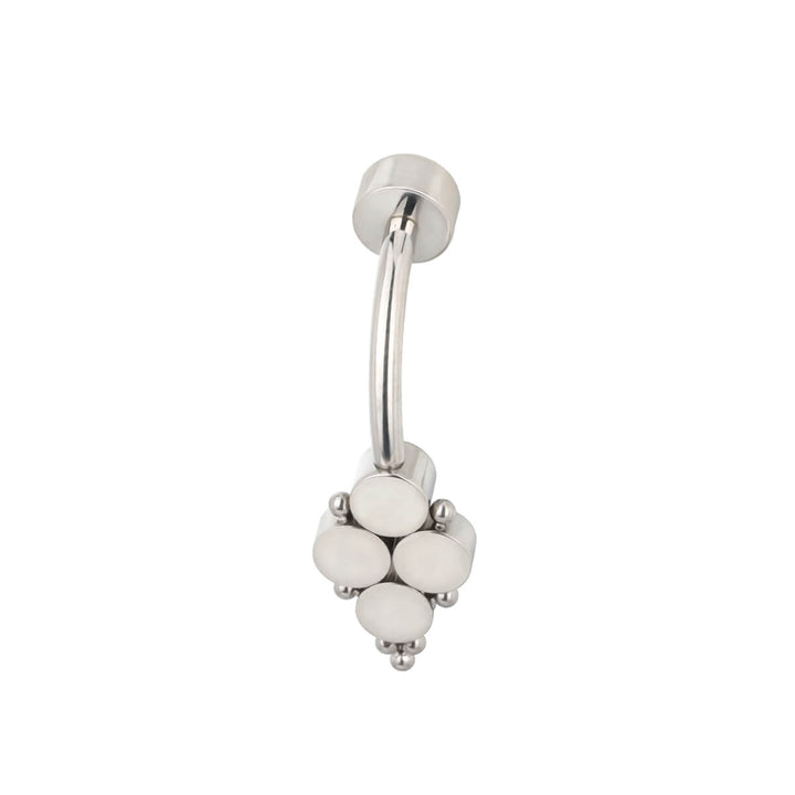 Titanium stud earring with 5 clear zirconia stones (G23 Titanium)