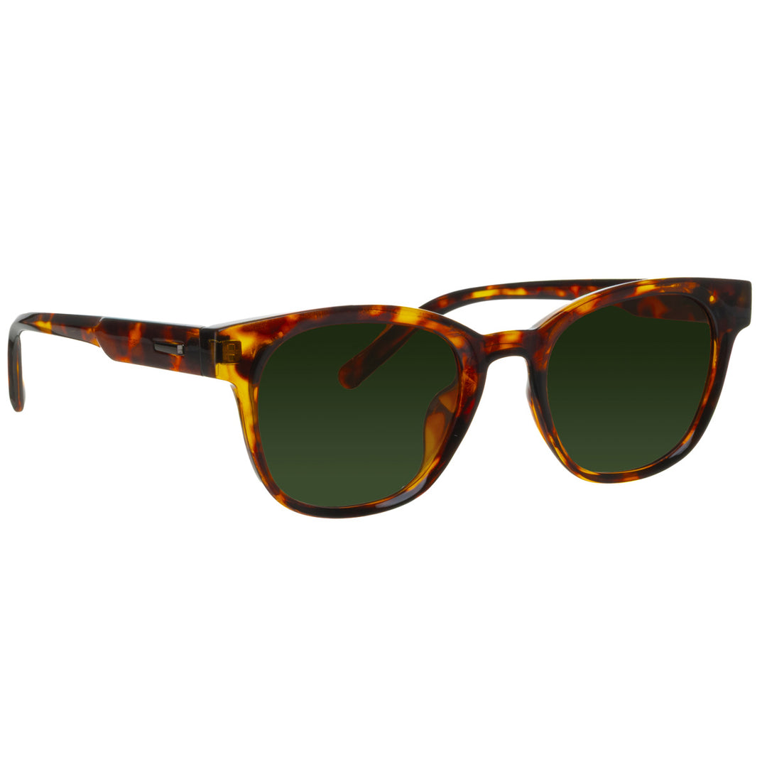 Wayfarer-solglasögon med polariserade glas – en modell med mjuka linjer