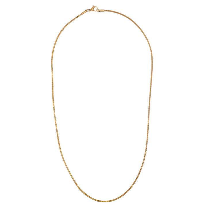 Tunn guldgyllene ormhalsband 50 cm (stål 316L)