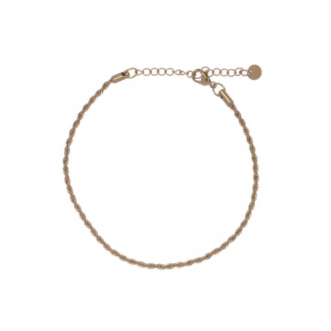 Steel ankle chain cordelia chain (Steel 316L)