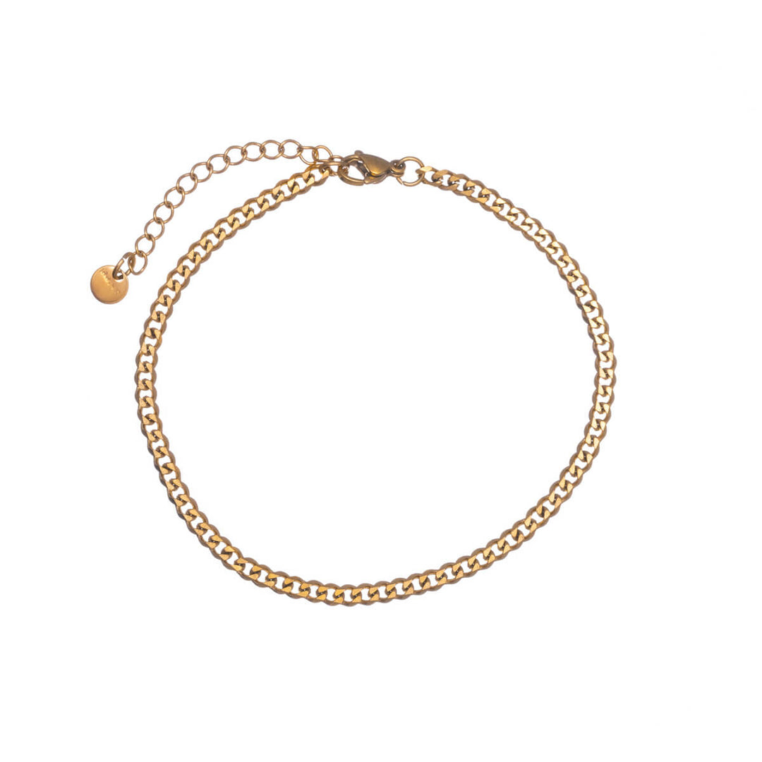 Steel ankle chain armour chain ankle bracelet (Steel 316L)