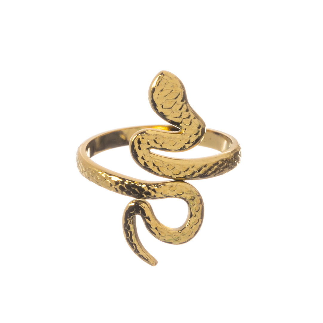 Snake ring enkel storlek stålring (Stål 316L)