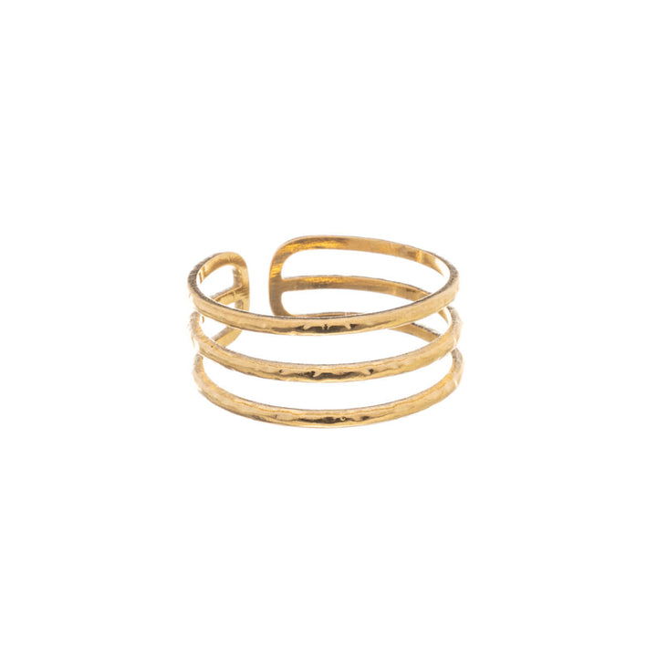 Tredelad ring (stål 316L)