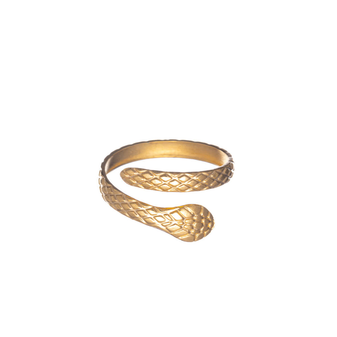 Snake ring single size steel ring (Steel 316L)